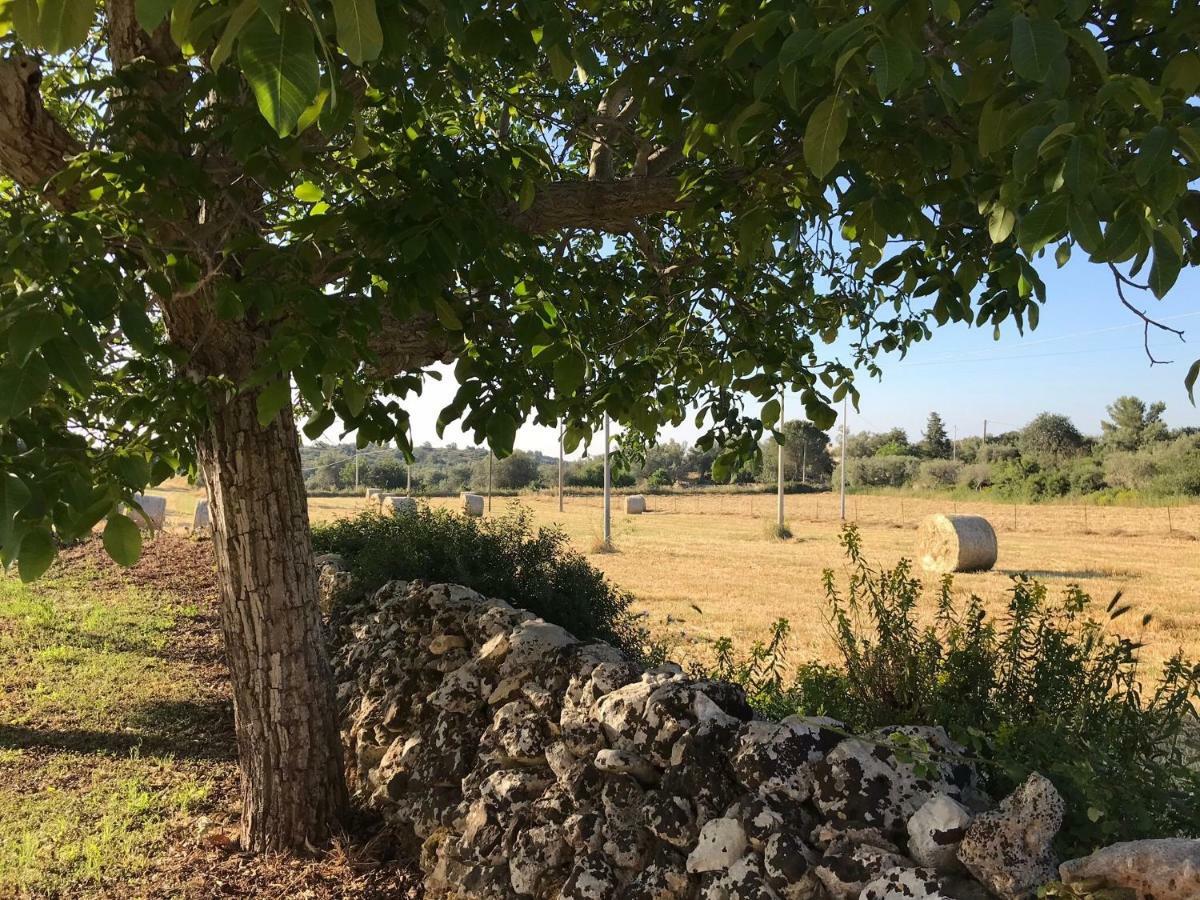 منزل الضيف نوتو  في Casa Farfaglia المظهر الخارجي الصورة